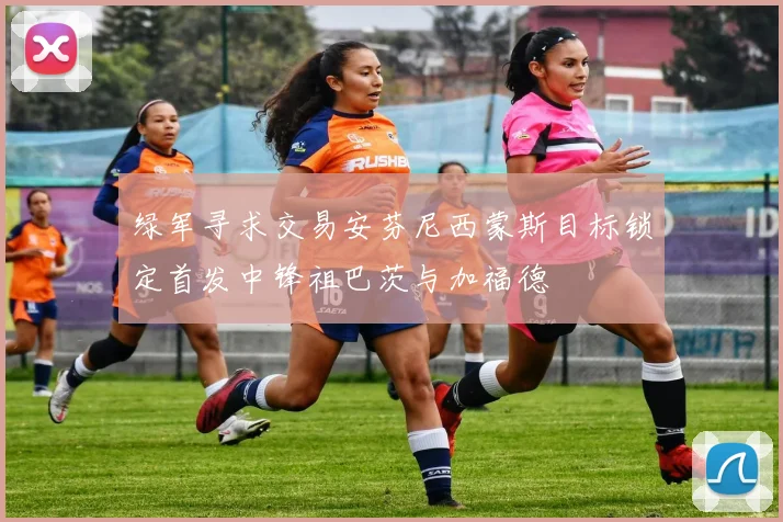 绿军寻求交易安芬尼西蒙斯目标锁定首发中锋祖巴茨与加福德