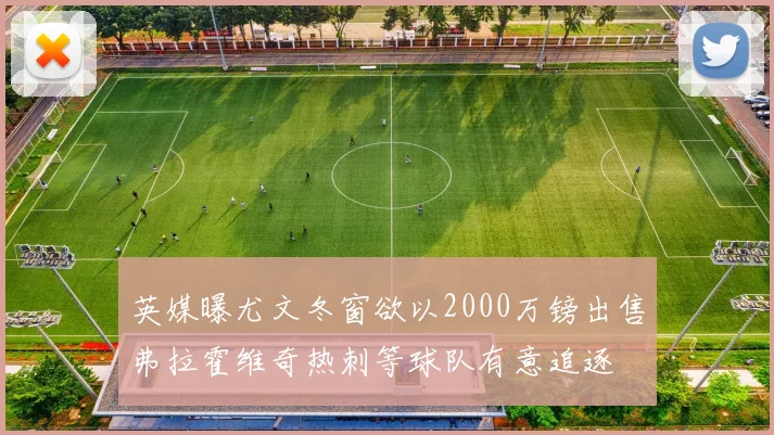 英媒曝尤文冬窗欲以2000万镑出售弗拉霍维奇热刺等球队有意追逐
