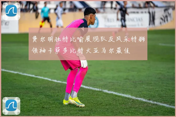 费尔明独特比喻展现队友风采特狮领袖卡萨多比特犬亚马尔最佳