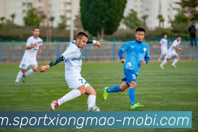 熊猫体育APP 封面图